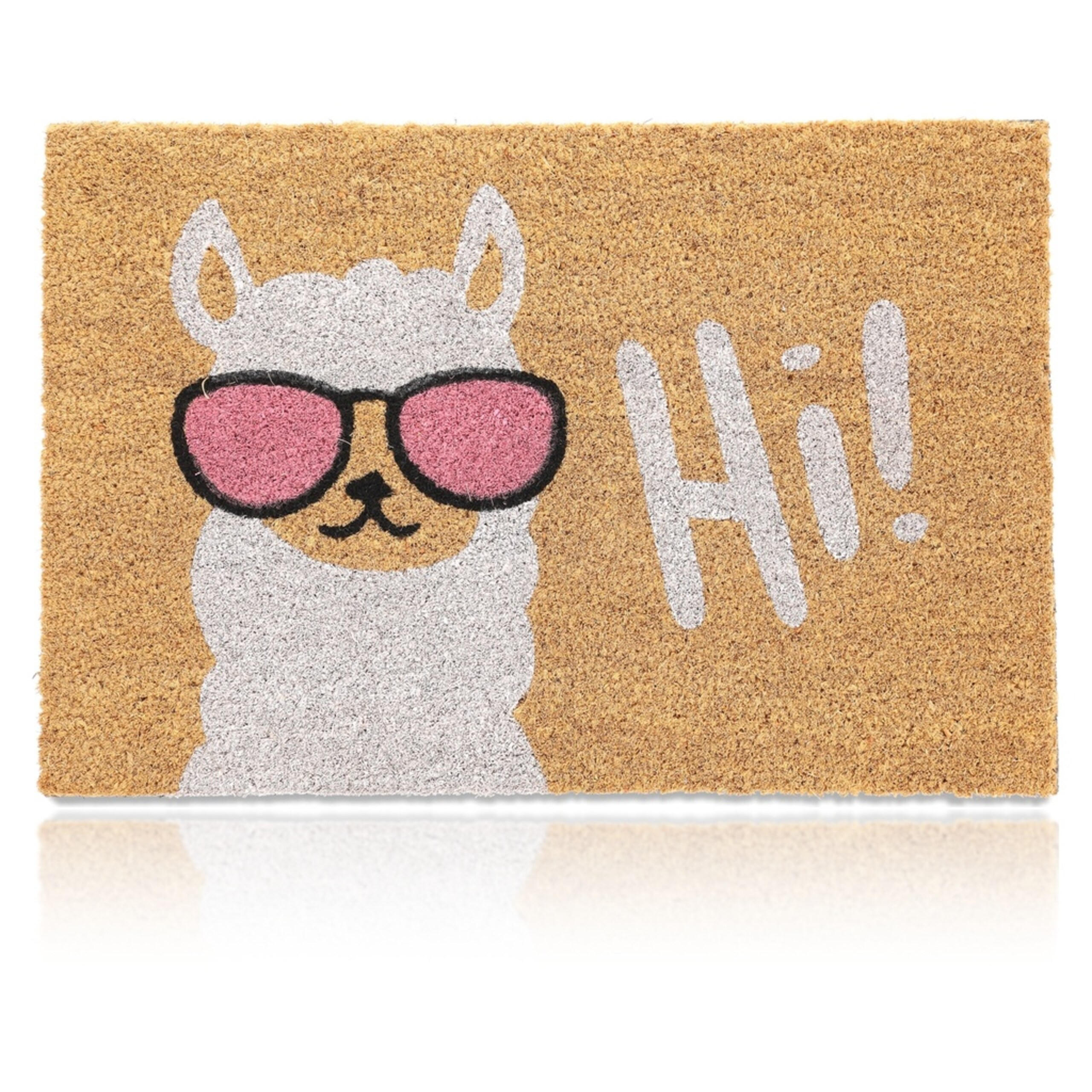 FUSSMATTE Mehrfarbig Kokos Lama 60x40 cm - Multicolor, Kunststoff/Textil (60/40cm) - Relaxdays