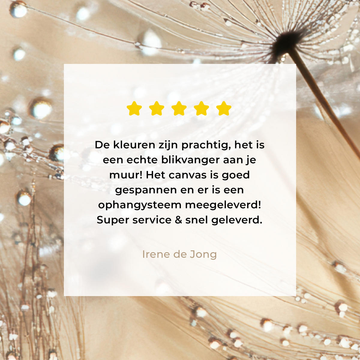 LEINWANDBILD Löwenzahn - Abstrakt - Natur - Beige 20x20 cm - Braun, Textil (20/20cm) - MuchoWow