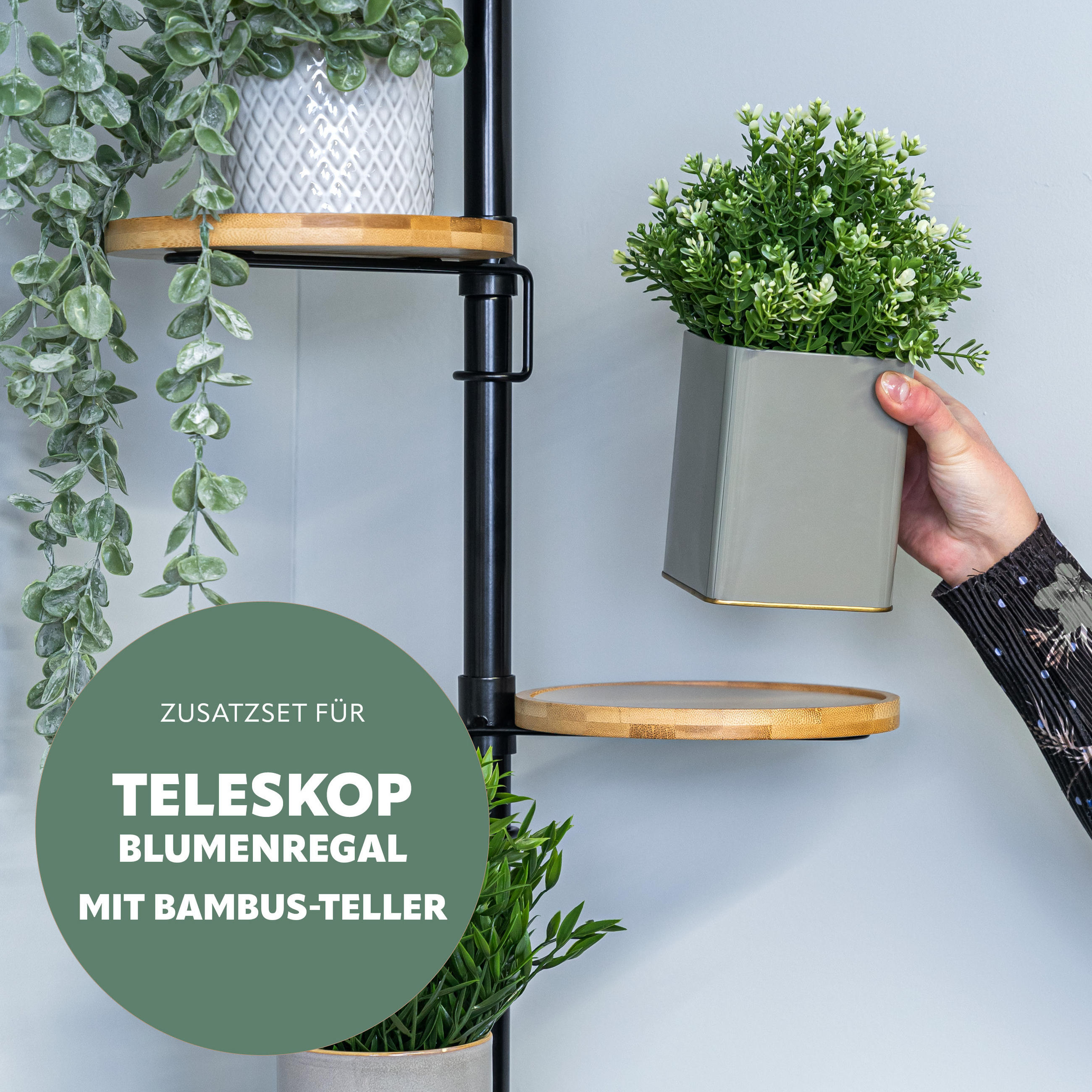 ZUSATZ-PFLANZENTELLER, schwarz - Grau, Metall (23/20/1.5cm) - bremermann