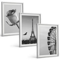 BILDER SET 3er Set - 40x60 cm Silberner Rahmen - Rose Eiffelturm Riesenrad - Silberfarben, Kunststoff (40/60cm) - TULUP