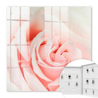SCHLÜSSELBOX Weiß 30x30 cm – Türöffnung nach rechts - Romantische Rose - Pink, Metall (30/30/5cm) - TULUP