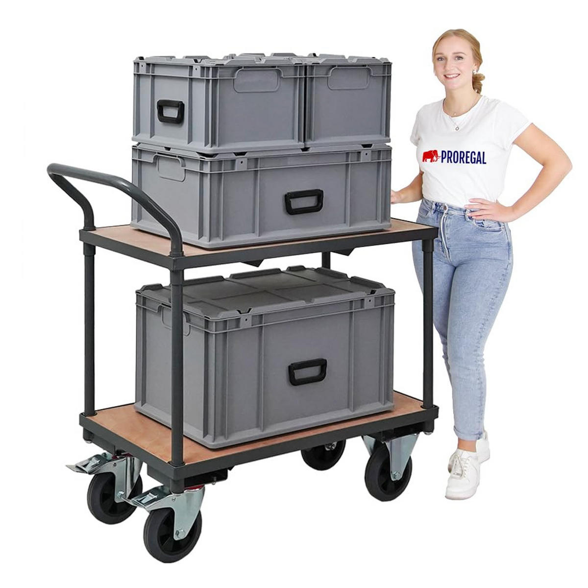 TISCHWAGEN mit 2 Etagen 95x50x97cm Traglast 400kg Grau - Grau, Metall (97/50/95cm) - PROREGAL