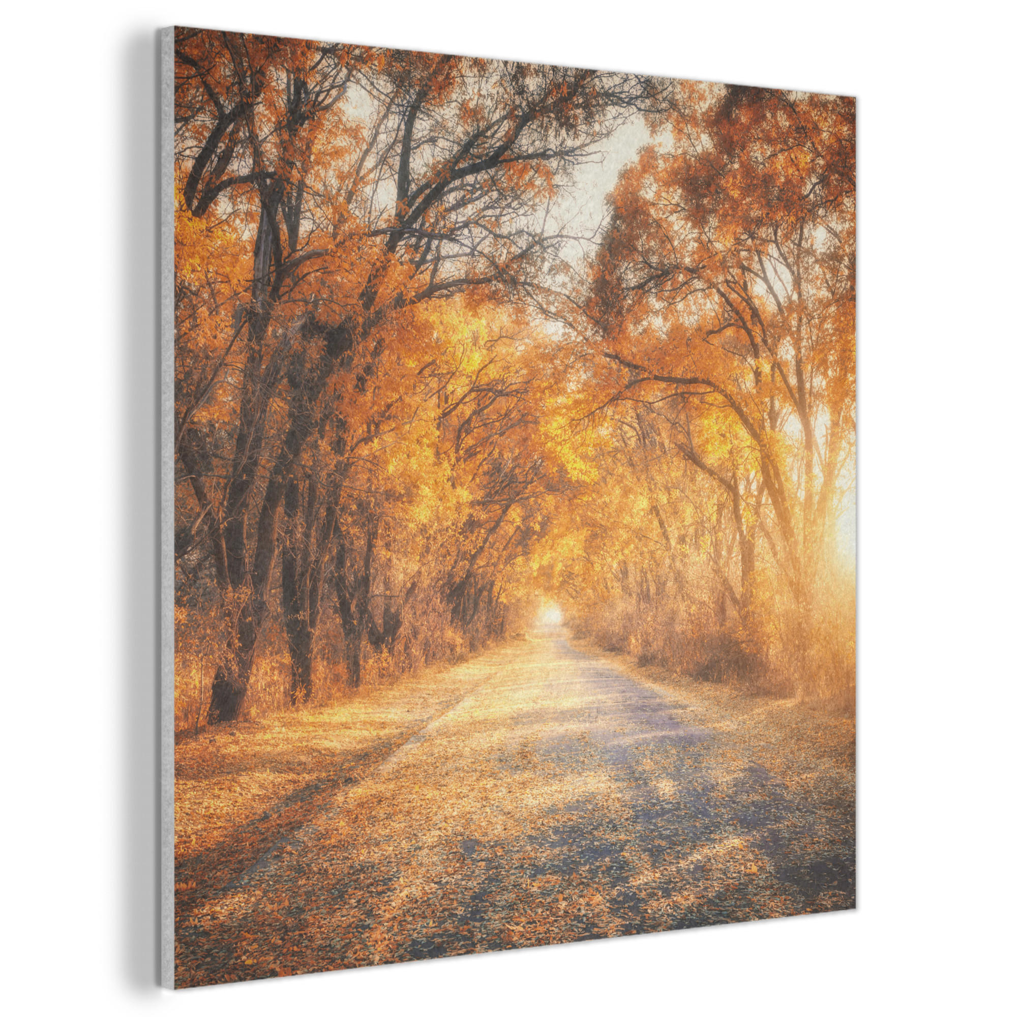AKUSTIKBILD Wald - Herbst - Bäume - Waldweg - Natur Akustikpaneele 90x90 cm - Bernsteinfarben, Kunststoff (90/90/0.9cm) - MuchoWow