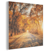 AKUSTIKBILD Wald - Herbst - Bäume - Waldweg - Natur Wandbilder 60x60 cm - Bernsteinfarben, Kunststoff (60/60/0.9cm) - MuchoWow