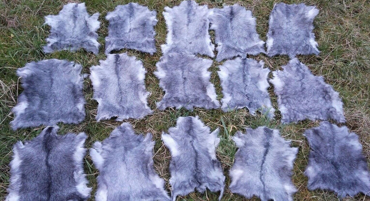 FELL Zickelfell Naturgrau ca. 30/40 cm, 50 Stück - Naturfarben/Grau, Fell (30/40cm) - Provellus