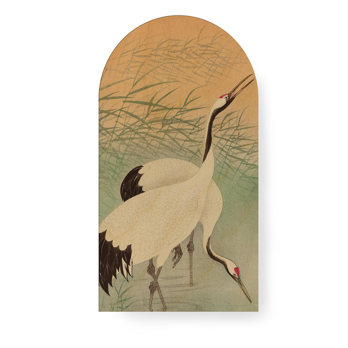 LEINWANDBILD Kranich - Multicolor, Wellpappe (54/1cm) - Art for the Home