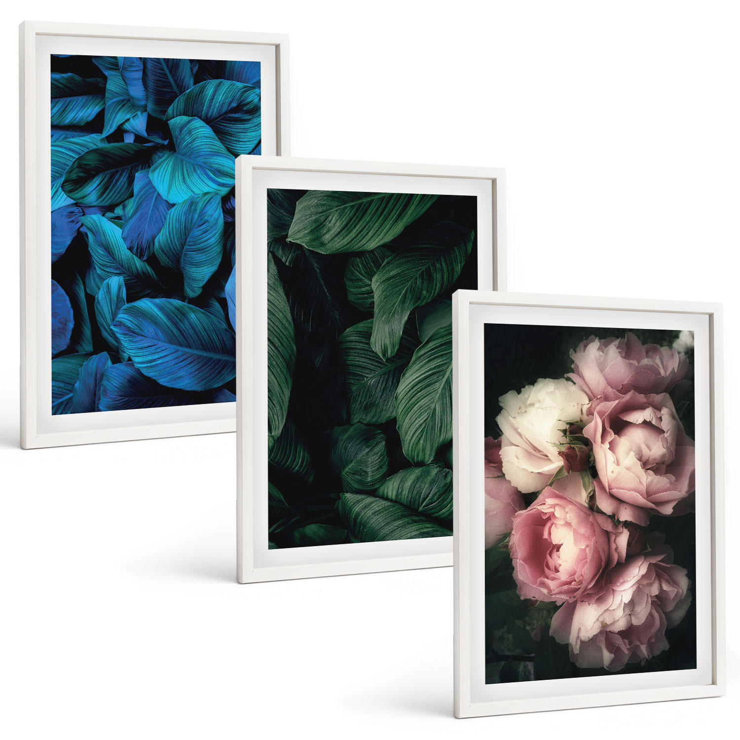 BILDER SET 3er Set - 40x60 cm Weißer Rahmen - Blätter, Blüten, verschiedene Farben - Weiß, Kunststoff (40/60cm) - TULUP