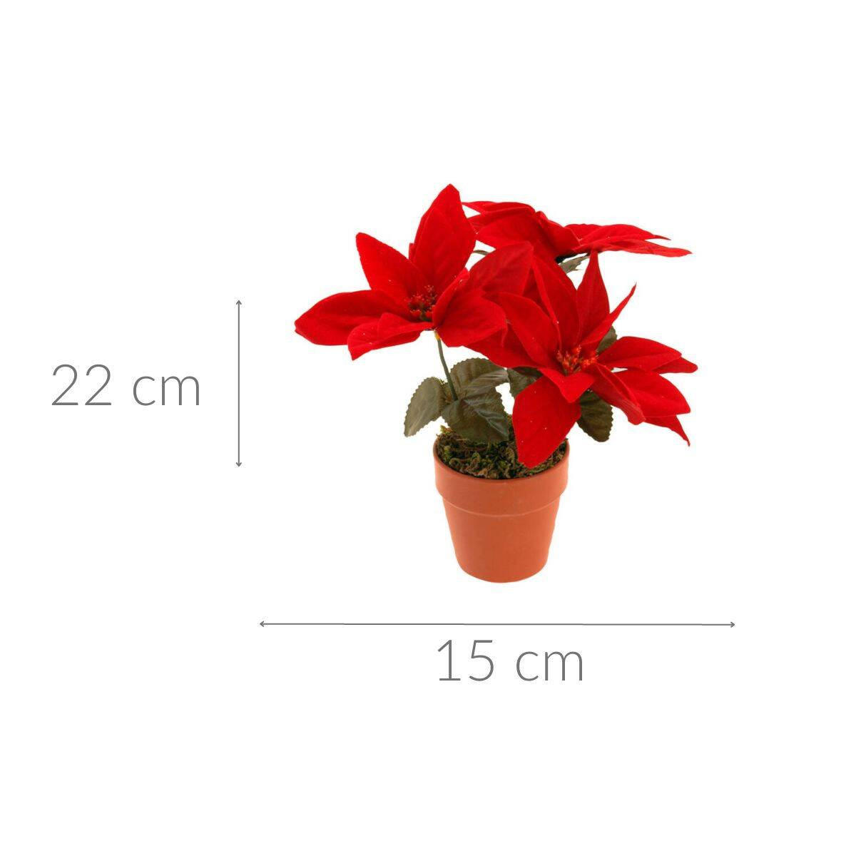 WEIHNACHTSSTERN Künstlich 22 cm - Rot, Kunststoff (15/22/13cm) - Home Styling Collection