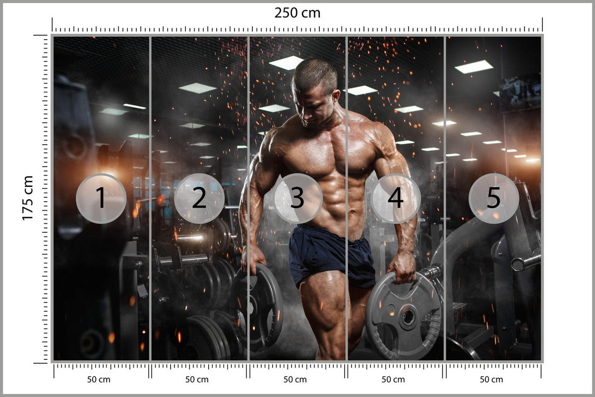 FOTOTAPETE Muskulöser Mann Gym Fitnessstudio Sport 250x175 - Beige/Schwarz, Papier (250/175cm) - Muralo