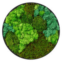 MOOSBILD Rund Ø 40 cm Mooswand Indoor mit echtem echtem Kugelmoos-Islandmoos-Flachmoos-Mix und Holzrahmen Grün - Waldgrün, Naturmaterialien (40/40/3cm) - ECD-Germany