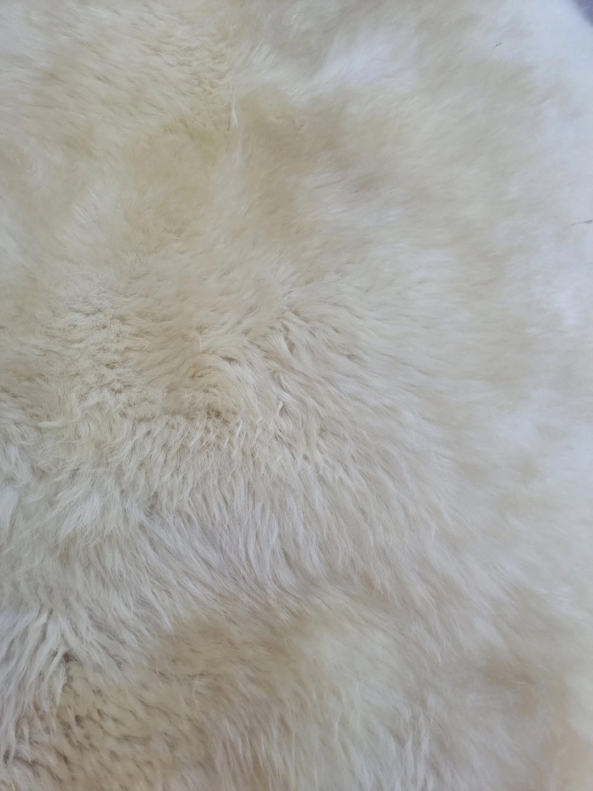 SCHAFFELL Premium Lammfell Natur ungeschoren weiche Wolle Vegetable gegerbt ca. 105 cm - Weiß Hochglanz, Fell (55/105cm) - Provellus