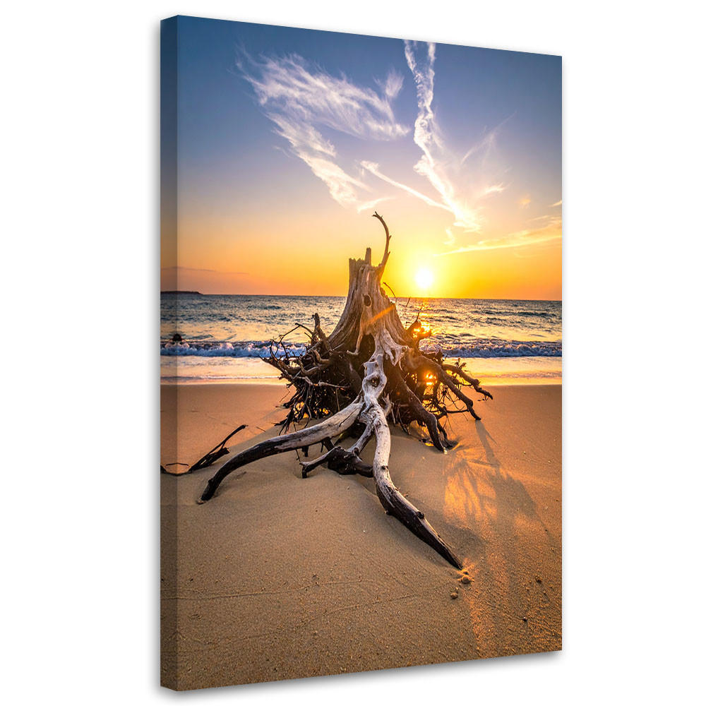 LEINWANDBILD, Strand Meer Landschaft Sonnenuntergang - Orange, Textil (30/45cm) - Feeby