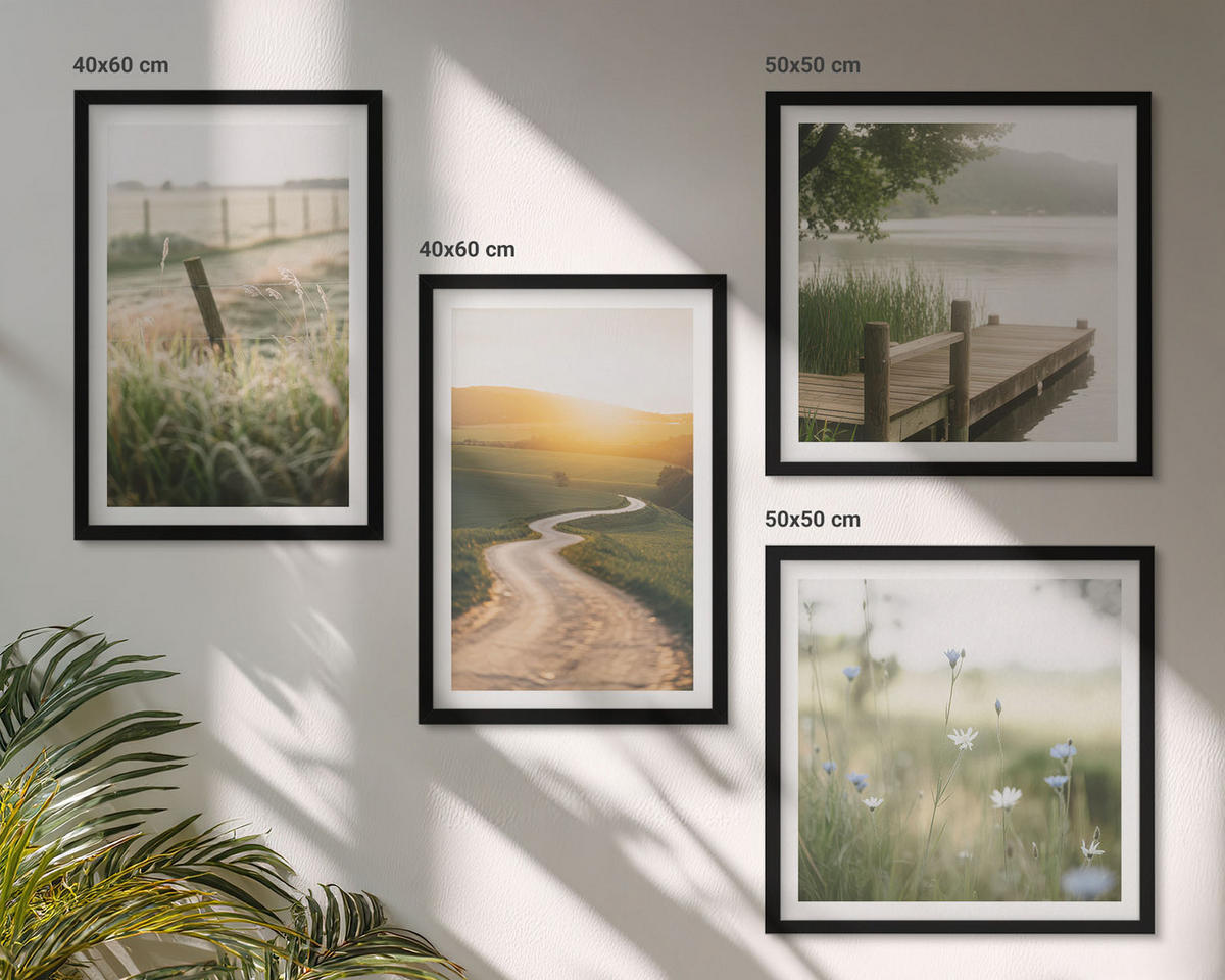 WANDBILDER 4er-Set - 50x50 cm & 40x60 cm Schwarzer Rahmen - Landschaftswiesenstraße West - Schwarz, Kunststoff (50/50cm) - ArtPrintCave
