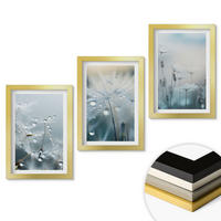 WANDBILDER 3er Set - 20x30 cm Goldrahmen - Tautropfen auf Löwenzahn - Goldfarben, Kunststoff (20/30cm) - ArtPrintCave