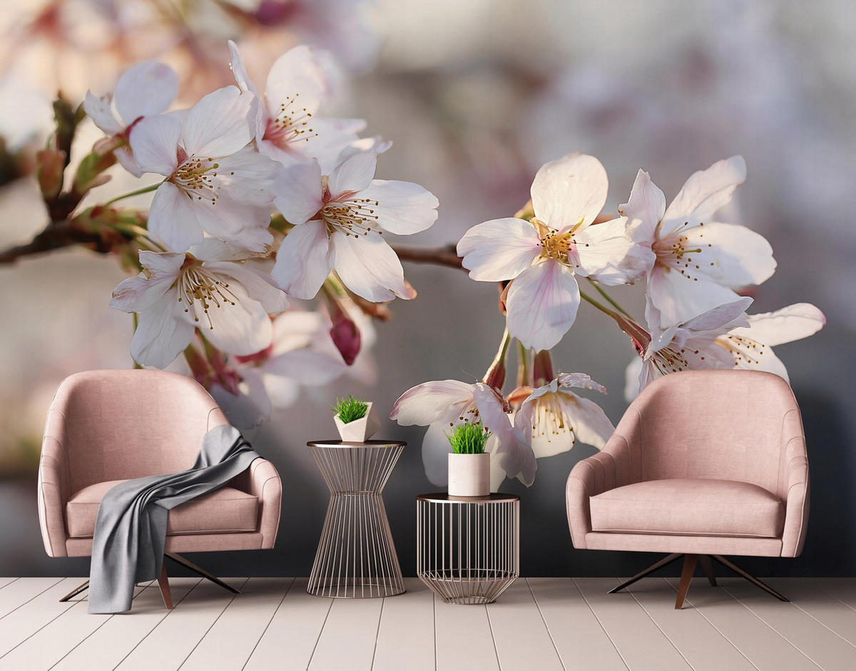 FOTOTAPETE Blumen Kirsche Rosa 400x280 cm - Multicolor, Papier (400/280cm) - Wallarena