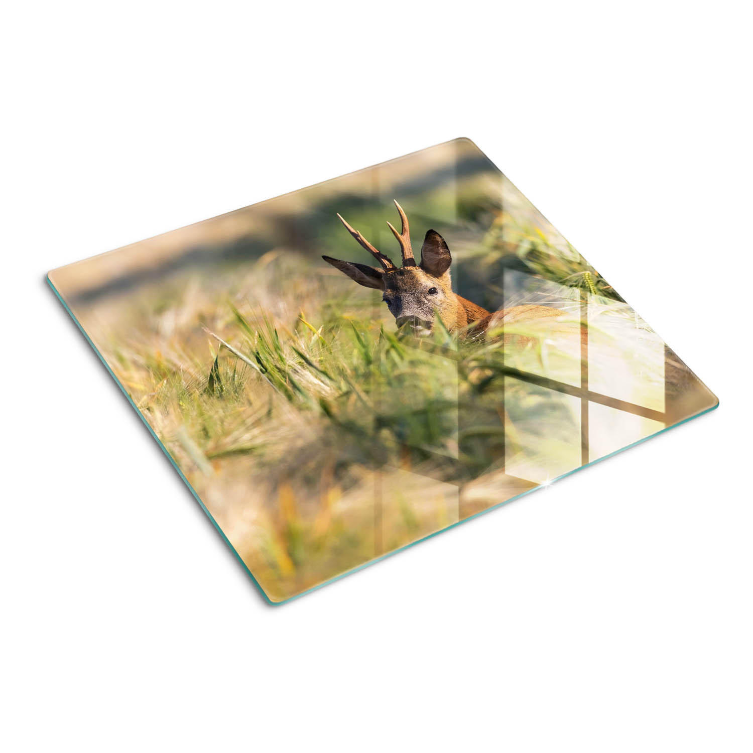 GLASPLATTE 60x52 cm Hirschfeld - Braun, Glas (60/0.4/52cm) - TULUP