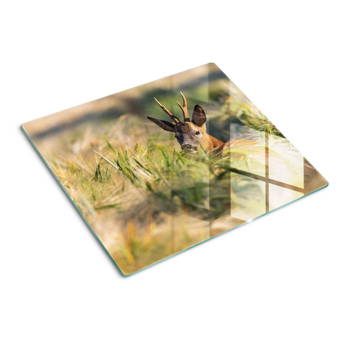 GLASPLATTE 60x52 cm Hirschfeld - Braun, Glas (60/0.4/52cm) - TULUP