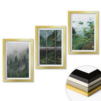 WANDBILDER 3er Set - 20x30 cm Goldrahmen - Waldnebel, Flussufer, Gewächshaus - Goldfarben, Kunststoff (20/30cm) - ArtPrintCave