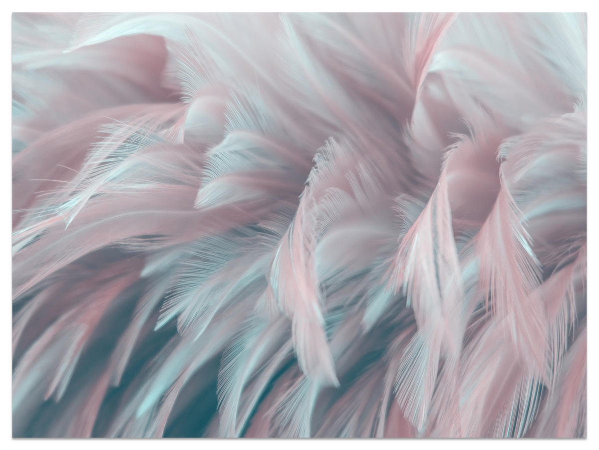 FOTOTAPETE für Schlafzimmer Pastell Federn Zart Rosa Blau 250x175 - Blau/Violett, Papier (250/175cm) - Muralo