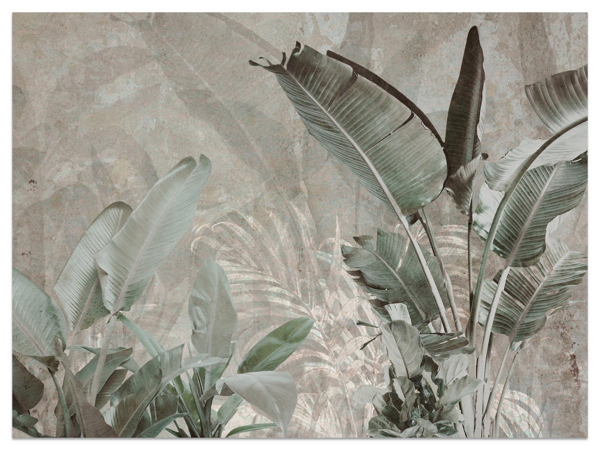 FOTOTAPETE für Büro Beton Bananenblätter Abstrakt Pflanzen Vintage 350x256 - Beige/Braun, Papier (350/256cm) - Muralo