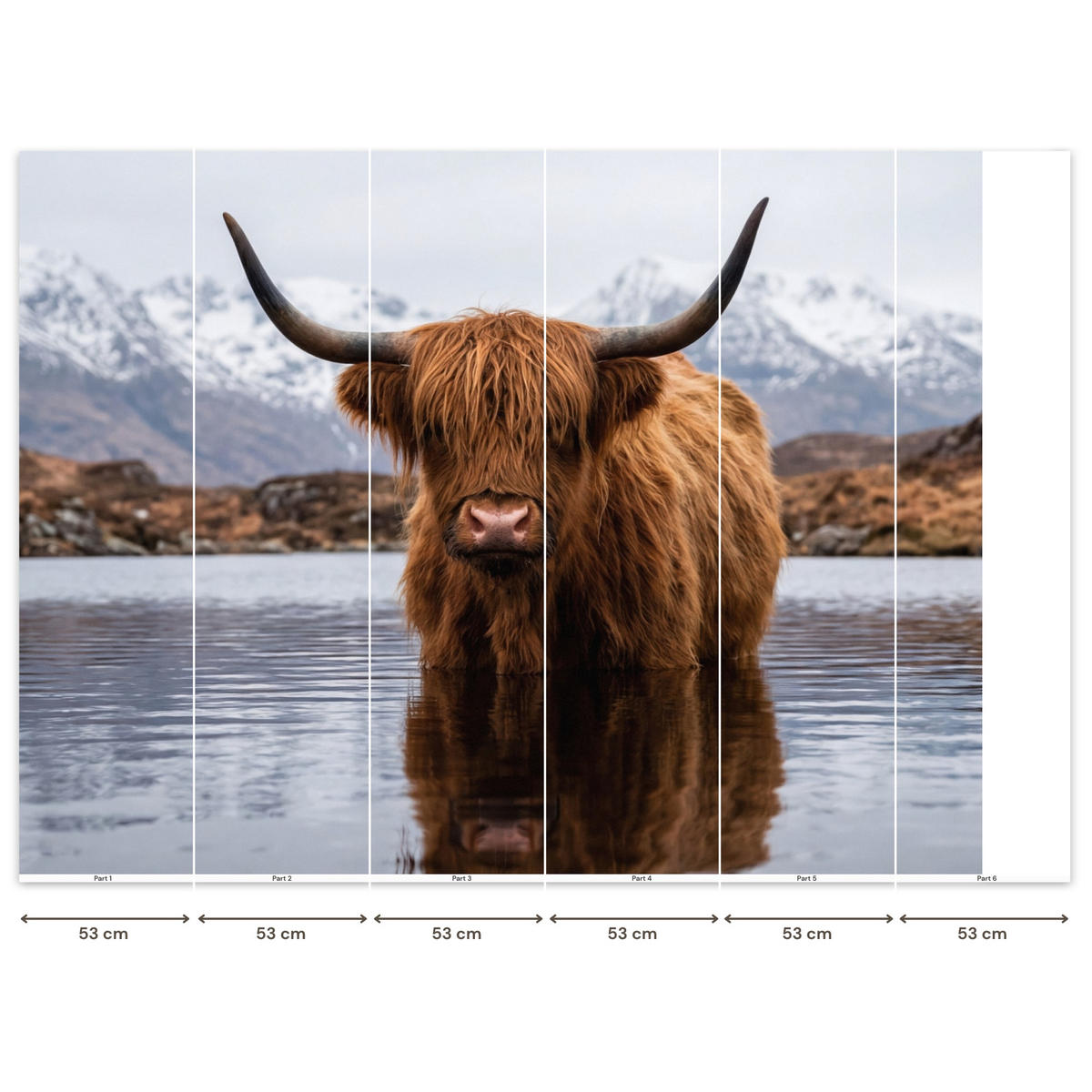TAPETE - Schottischer Hochländer - Braun - Wasser - 280x200 cm - Braun, Papier (280/200cm) - OnlyWow