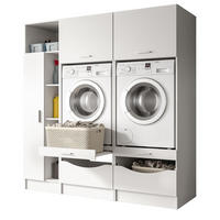 WASCHMASCHINENSCHRANK weiß Set 3-teilig, Waschmaschinenumbau 182 cm mit viel Stauraum - Silberfarben/Weiß, Glas/Holzwerkstoff (182/195/68cm) - Inn.Furn