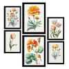 POSTER Set Mit 6 Orangefarbene Blumen Vollfarbige Natur Und Botanikdrucke Mit Blumenmotiven Auf Reinweißen Hintergründen A3 & A4 Schwarzer Rahmen - Schwarz, Papier (29/3cm) - Nacnic
