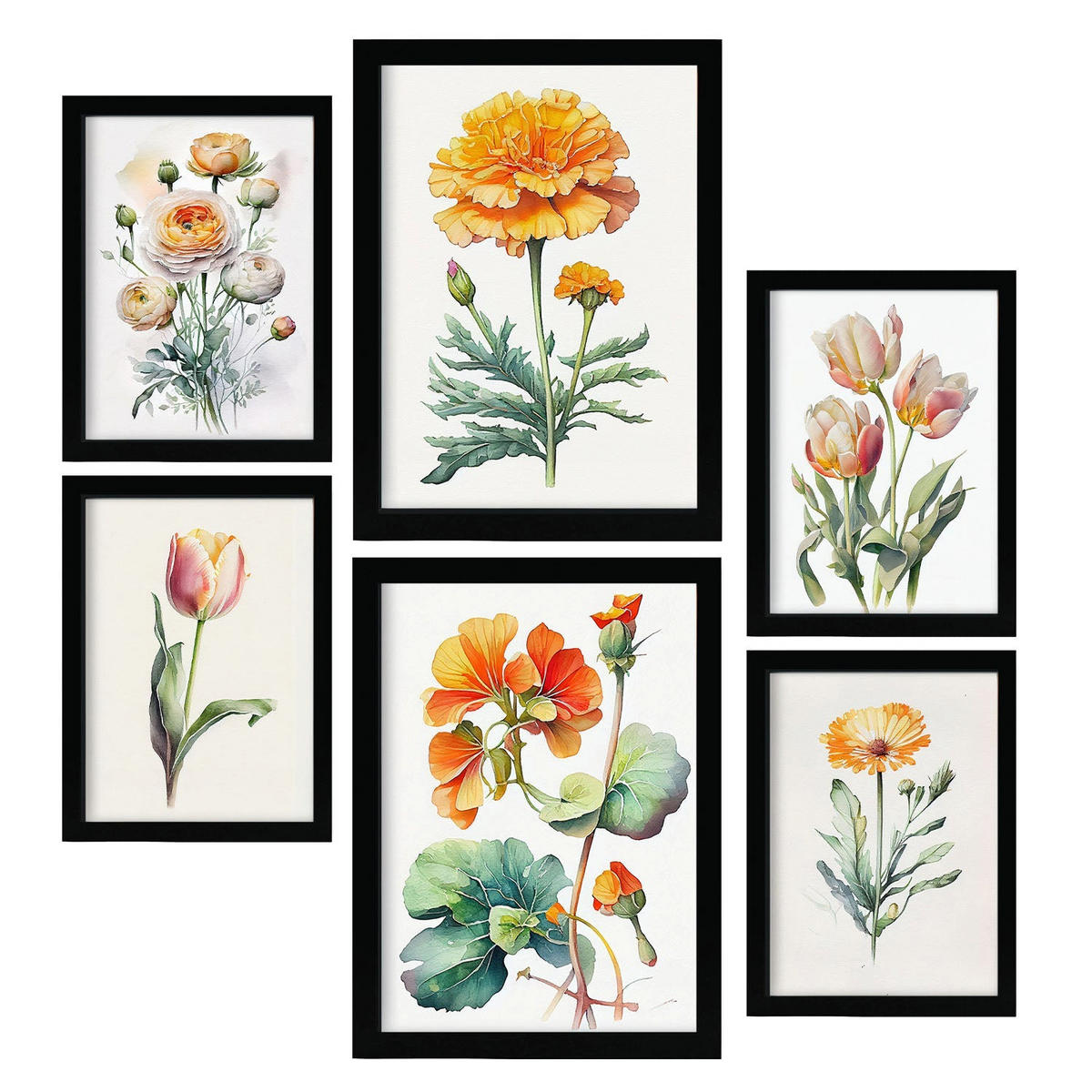 POSTER Set Mit 6 Orangefarbene Blumen Vollfarbige Natur Und Botanikdrucke Mit Blumenmotiven Auf Reinweißen Hintergründen A3 & A4 Schwarzer Rahmen - Schwarz, Papier (29/3cm) - Nacnic