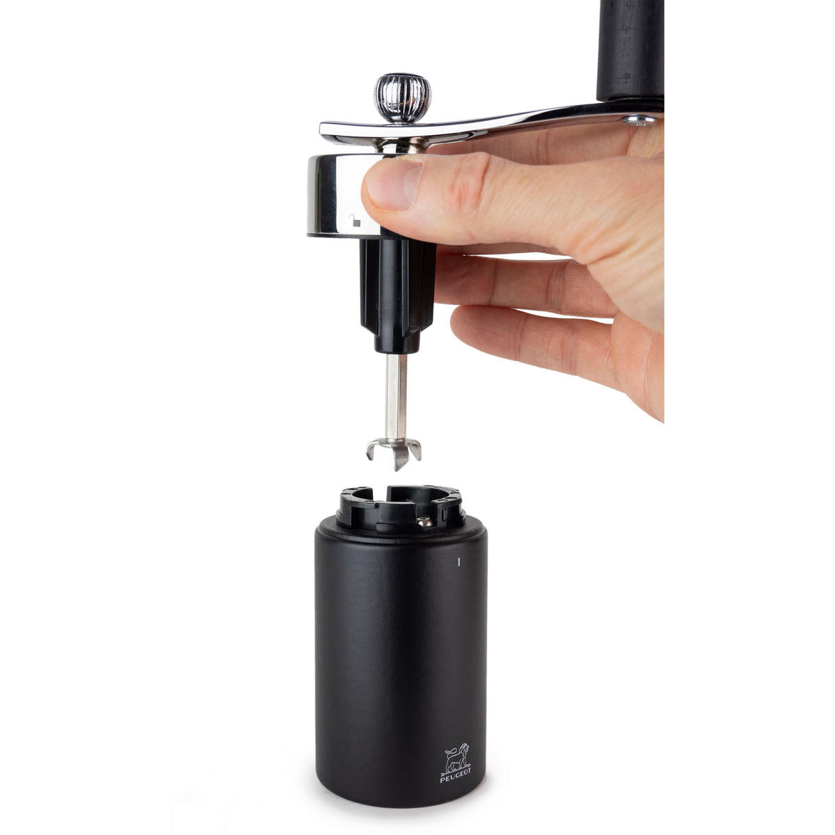 MUSKATMÜHLE Isen 15cm Buchenholz Schwarz Stahlmahlwerk - Schwarz, Holz (5.4/15/5.4cm) - PEUGEOT