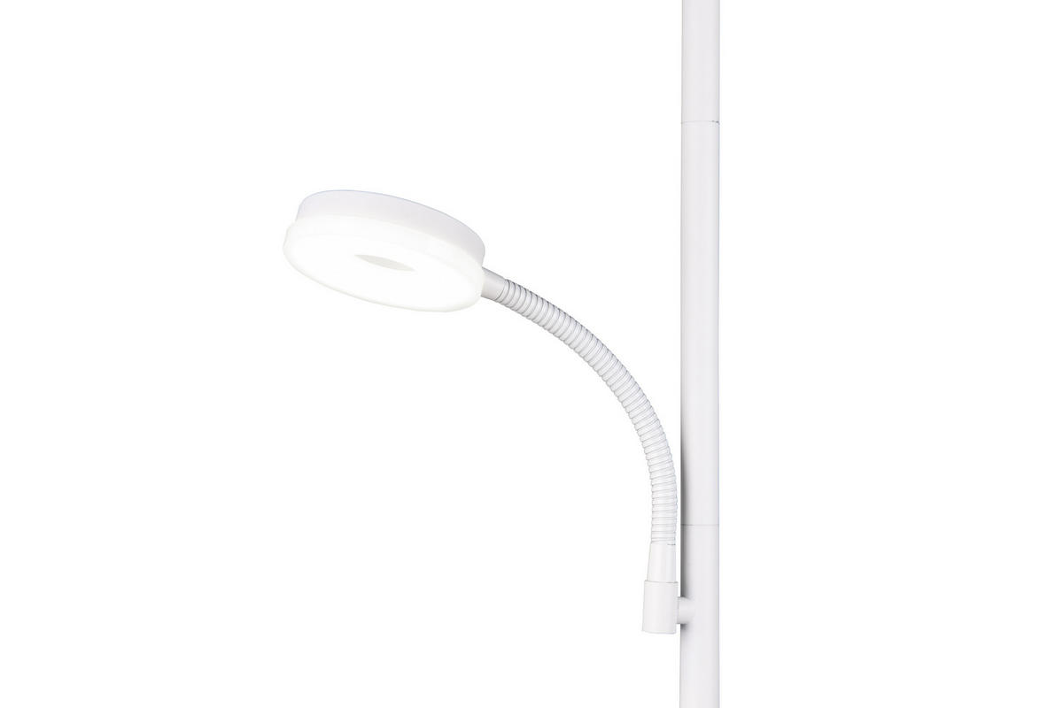 STEHLAMPE SPECTER - Weiß - 25/25/178 cm - Weiß, Metall (25/25/178cm) - Trio Leuchten