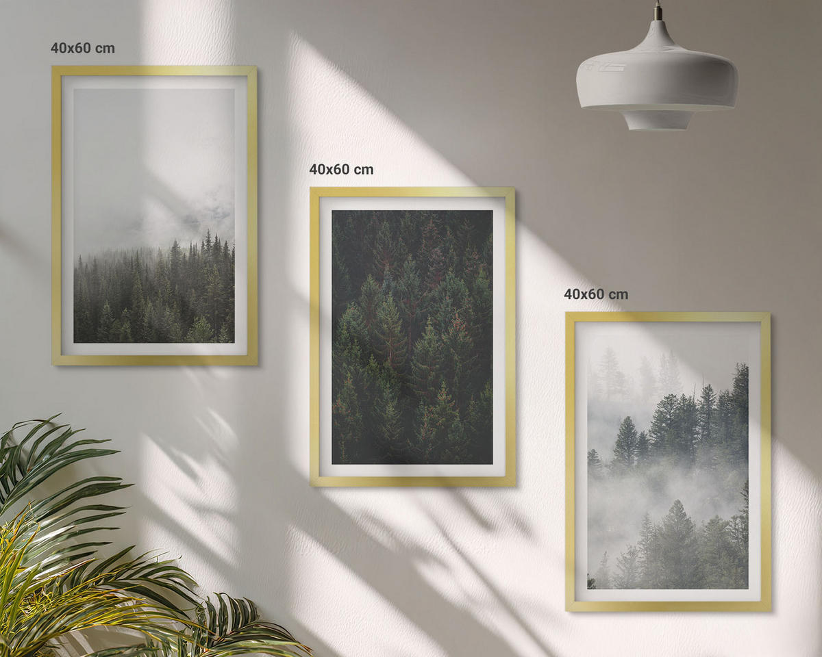 BILDER SET 3er Set - 40x60 cm Goldrahmen - Grüne Wälder Nebel Natur - Goldfarben, Kunststoff (40/60cm) - TULUP
