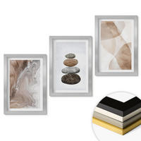 WANDBILDER 3er Set - 20x30 cm Silberner Rahmen - Abstrakte Pastellformen - Silberfarben, Kunststoff (20/30cm) - ArtPrintCave