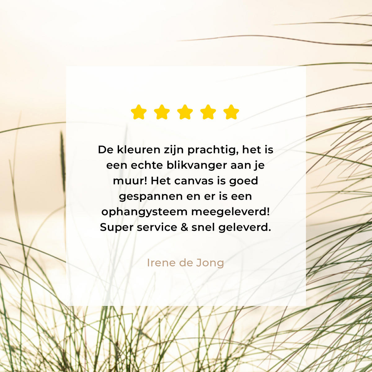 LEINWANDBILD Dünen mit Strandhafer in der Sonne des Nationalparks Schleswig-Holsteinisches Wattenmeer 60x80 cm - Creme, Textil (60/80cm) - MuchoWow