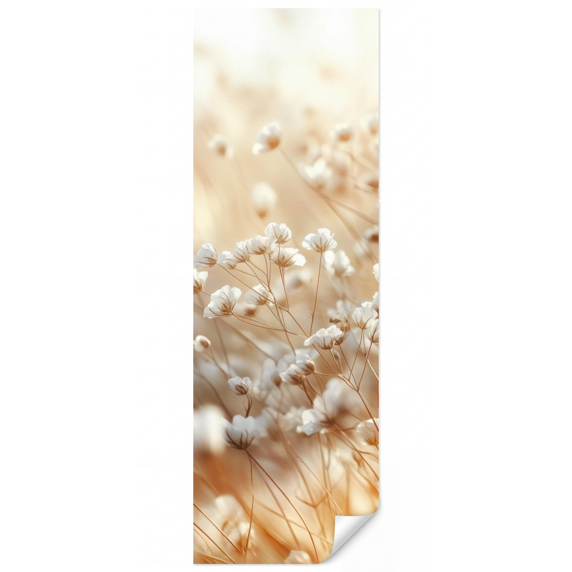 OnlyWow Tapete Creme 100x280 cm