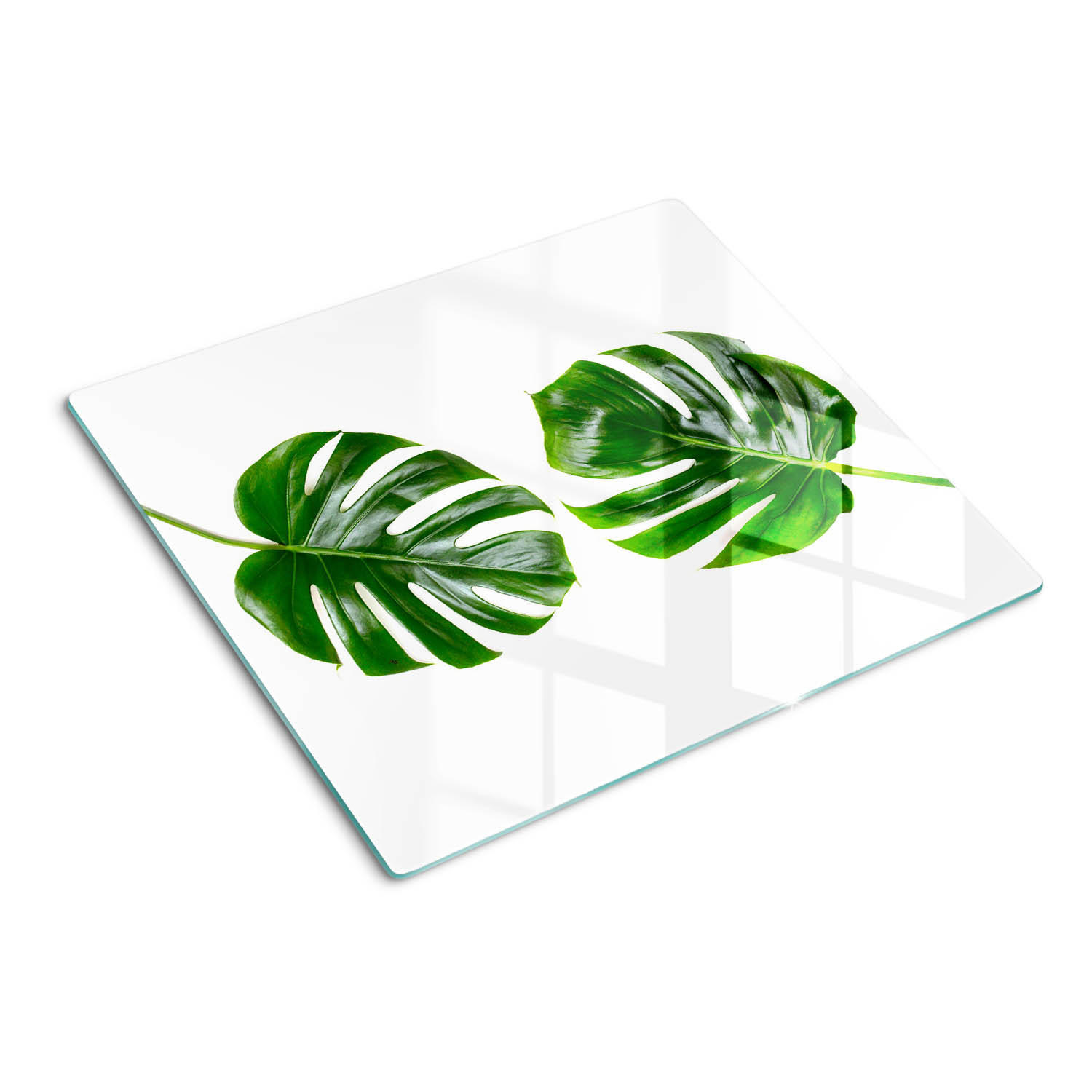 GLASPLATTE 60x52 cm Tropische Blätter - Grün, Glas (60/0.4/52cm) - TULUP