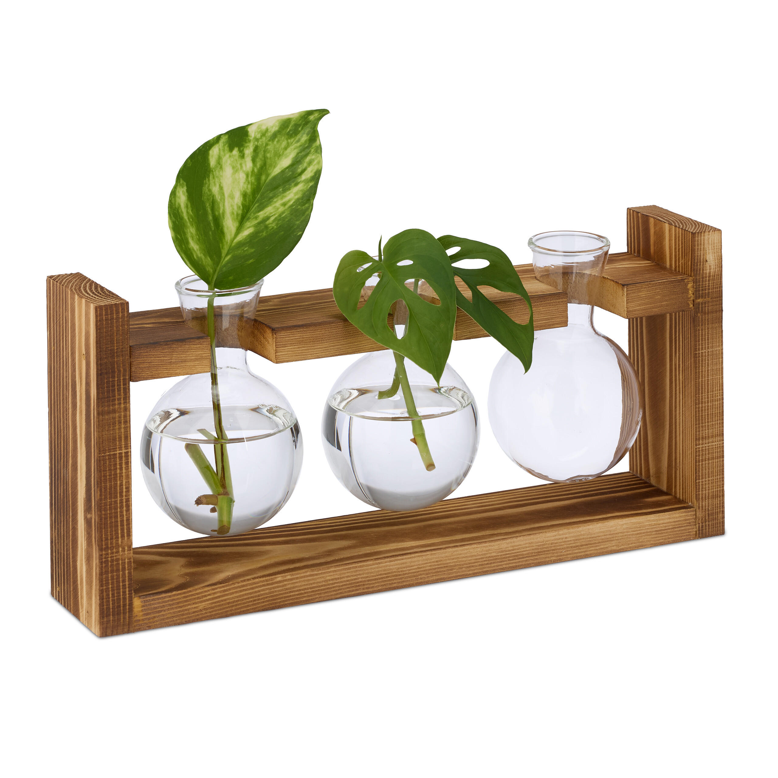 REAGENZGLAS-VASE - Multicolor, Glas/Holz (13cm) - Relaxdays