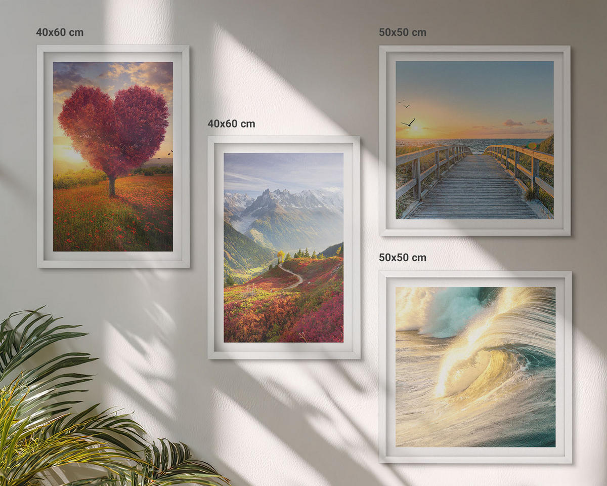WANDBILDER 4er-Set - 50x50 cm & 40x60 cm Weißer Rahmen - Landschaften Berge Wellen Baum Herz Pier - Weiß, Kunststoff (50/50cm) - ArtPrintCave