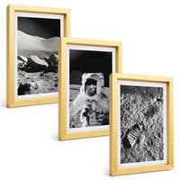 BILDER SET 3er Set - 20x30 cm Goldrahmen - NASA-Fotos vom Mond Astronaut - Goldfarben, Kunststoff (20/30cm) - TULUP
