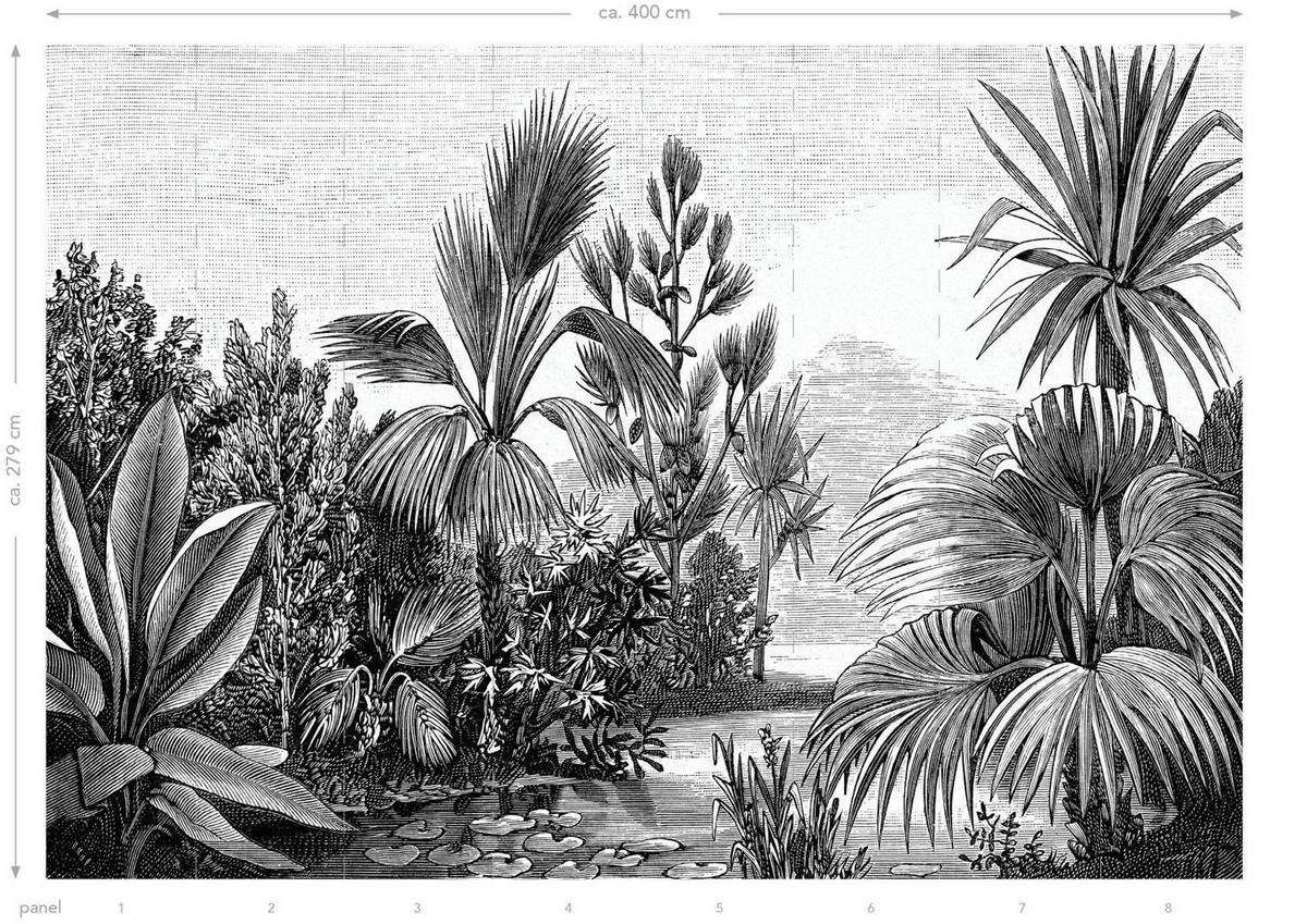 FOTOTAPETE tropische Landschaft 400 x 279 cm - Schwarz, Papier (400/279cm) - ESTAhome