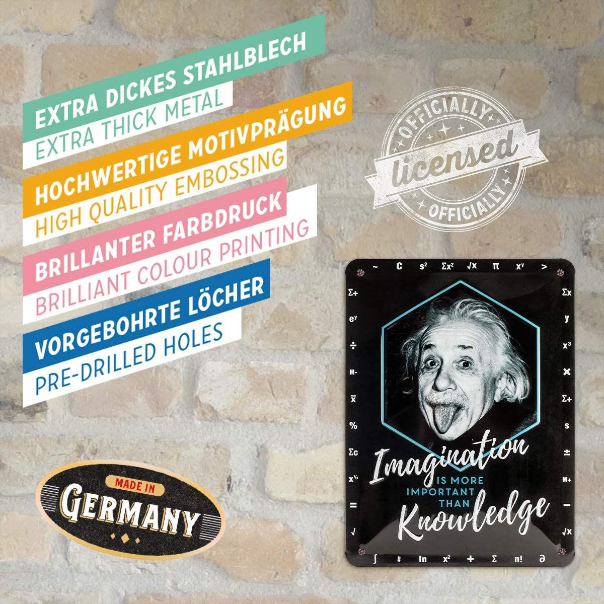 BLECHSCHILD 15/20 cm Einstein Imagination & Knowledge - Multicolor, Metall (15/20/0.5cm) - Nostalgic-Art