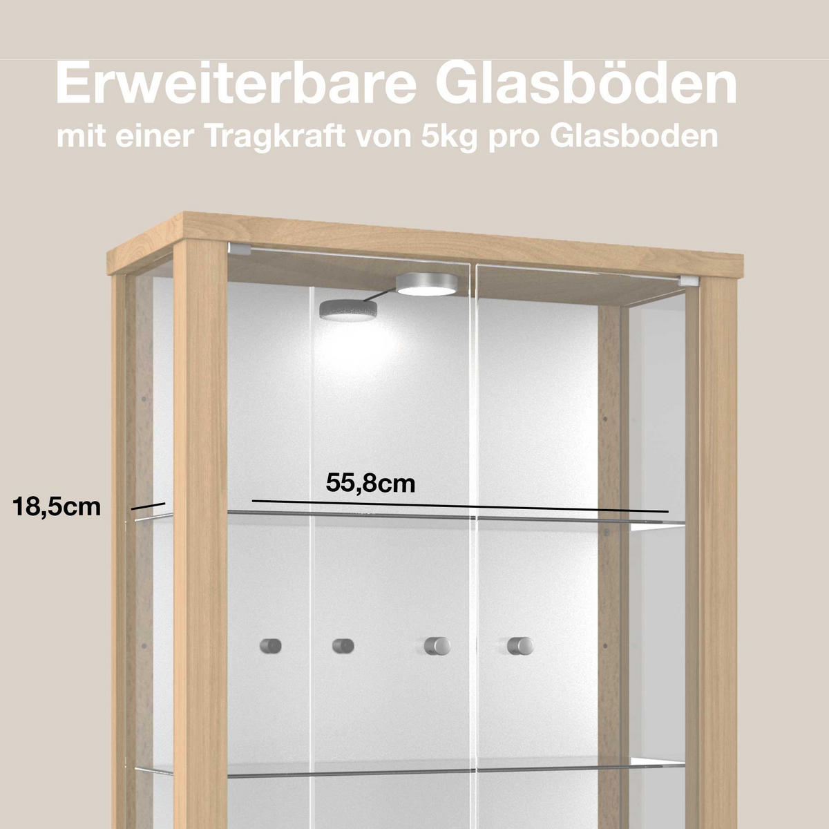 HÄNGEVITRINE 25/60/80 cm mit Spiegel, LED & 2 höhenverstellbaren Glasböden - Transparent/Silberfarben, Glas/Holzwerkstoff (60/80/25cm) - K-Möbel