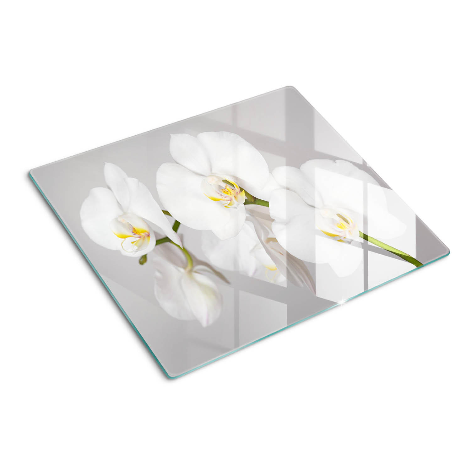 GLASPLATTE 60x52 cm Orchidee - Weiß, Glas (60/0.4/52cm) - TULUP