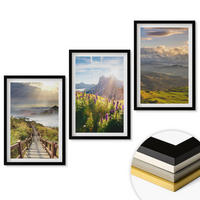 WANDBILDER 3er-Set - 40x60 cm Schwarzer Rahmen - Berglandschaft mit Blumen - Schwarz, Kunststoff (40/60cm) - ArtPrintCave