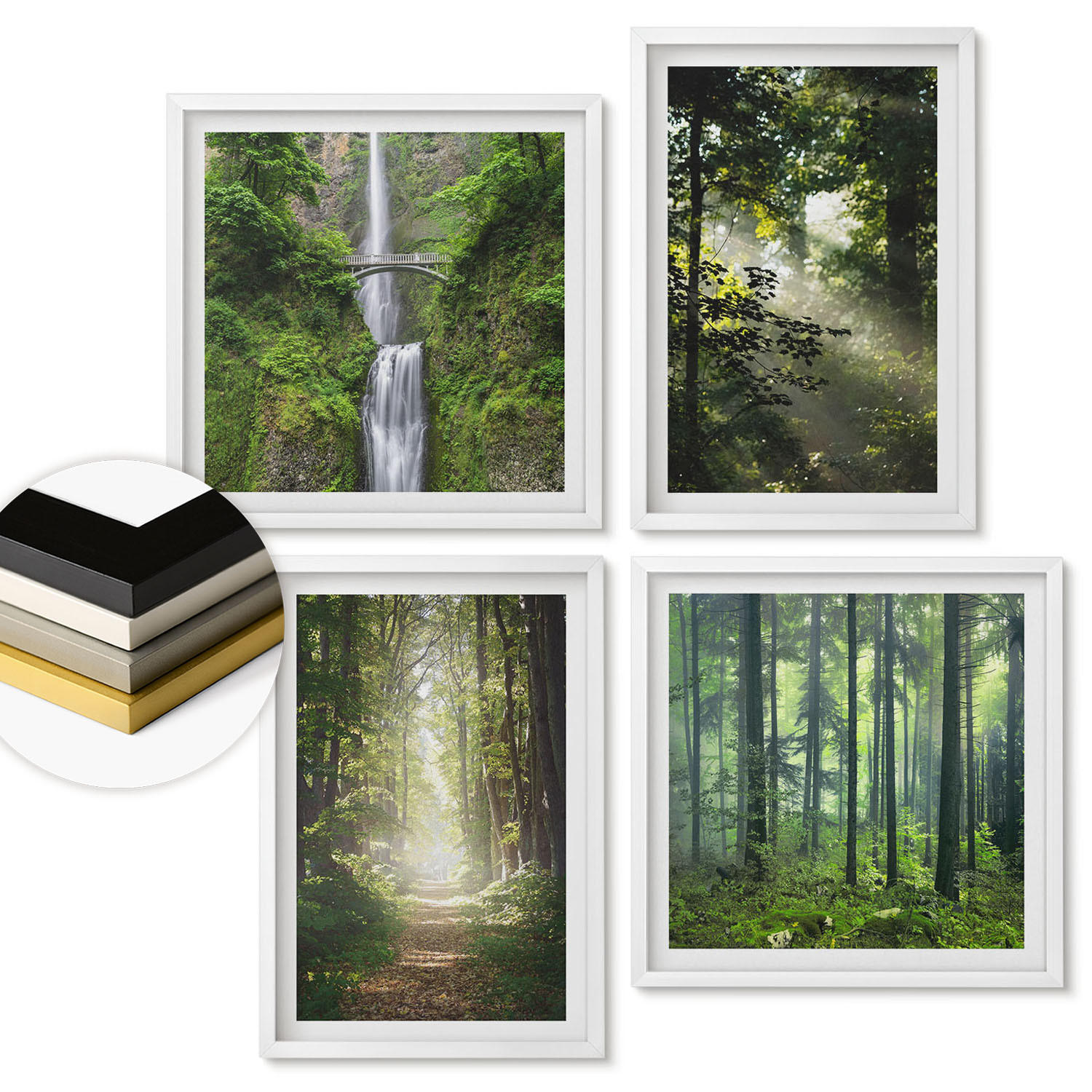 WANDBILDER 4er-Set - 50x50 cm & 40x60 cm Weißer Rahmen - Grüne Wälder, Lichtstrahlen - Weiß, Kunststoff (50/50cm) - ArtPrintCave