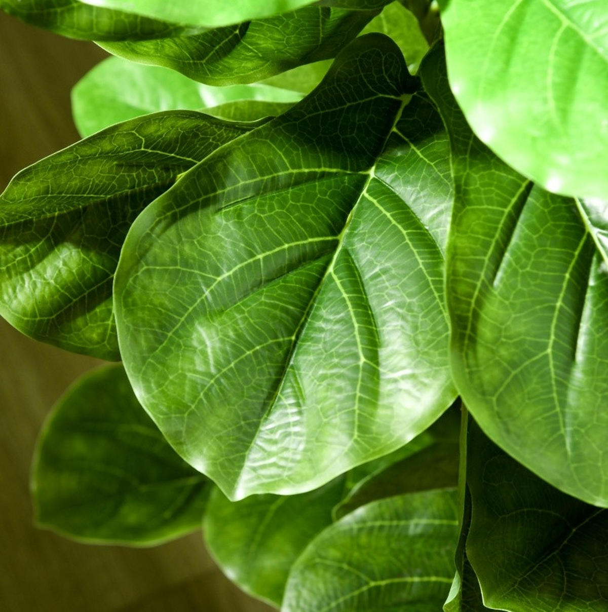 KUNSTPFLANZEN Ficus-Pflanze 15/15/110 cm grün aus Kunststoff mit Topf - Grün, Kunststoff (110cm) - OKWISH