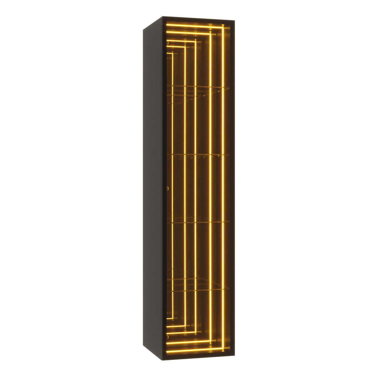 VITRINE Vitrinenschrank mit 5 Ebenen, LED-Beleuchtung, Spiegelrückwand & Glas Aluminiumtüren Schwarz - Transparent/Schwarz, Glas/Holzwerkstoff (30/160/30cm) - EVRYAE
