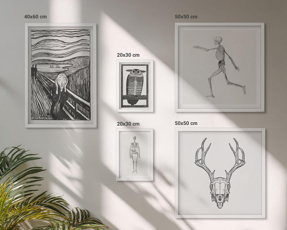 WANDBILDER 5er-Set - 50x50 cm & 20x30 cm & 40x60 cm Weißer Rahmen - Küchenaccessoires auf pflanzlicher Basis - Weiß, Kunststoff (40/60cm) - ArtPrintCave