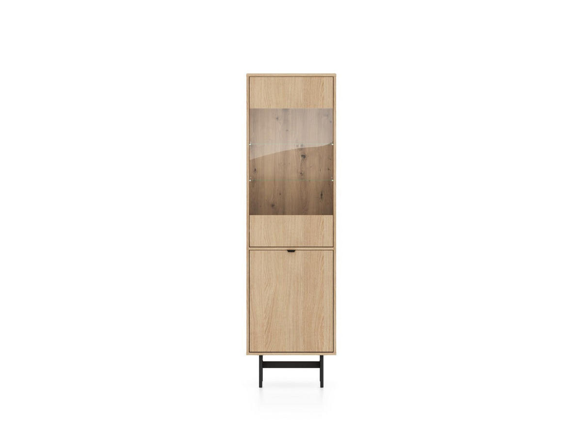 VITRINE – 54 cm – Reynos – Schwarz - Schwarz, Holzwerkstoff (54/190/40cm) - hi-markt