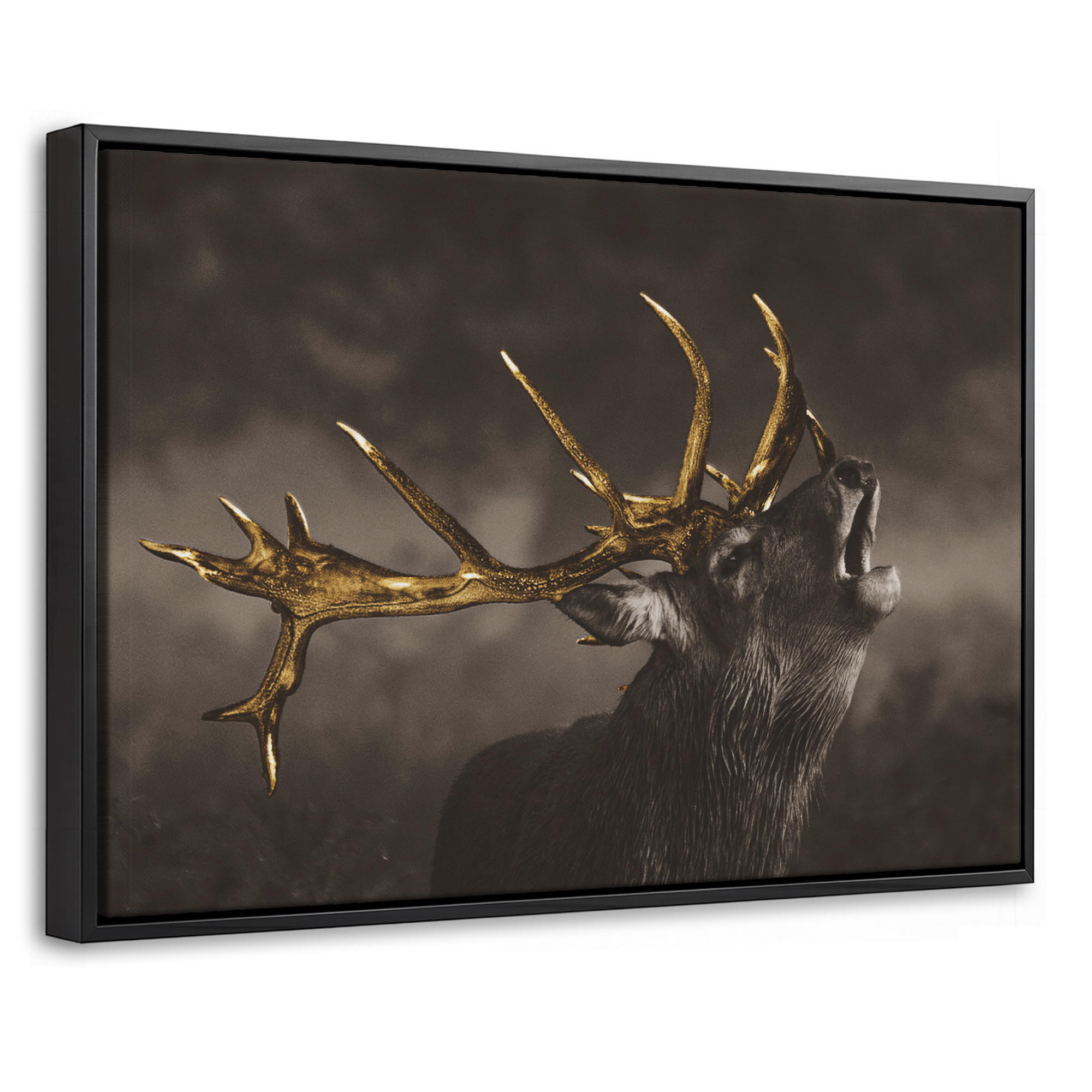MuchoWow Leinwand Braun 60x40 cm
