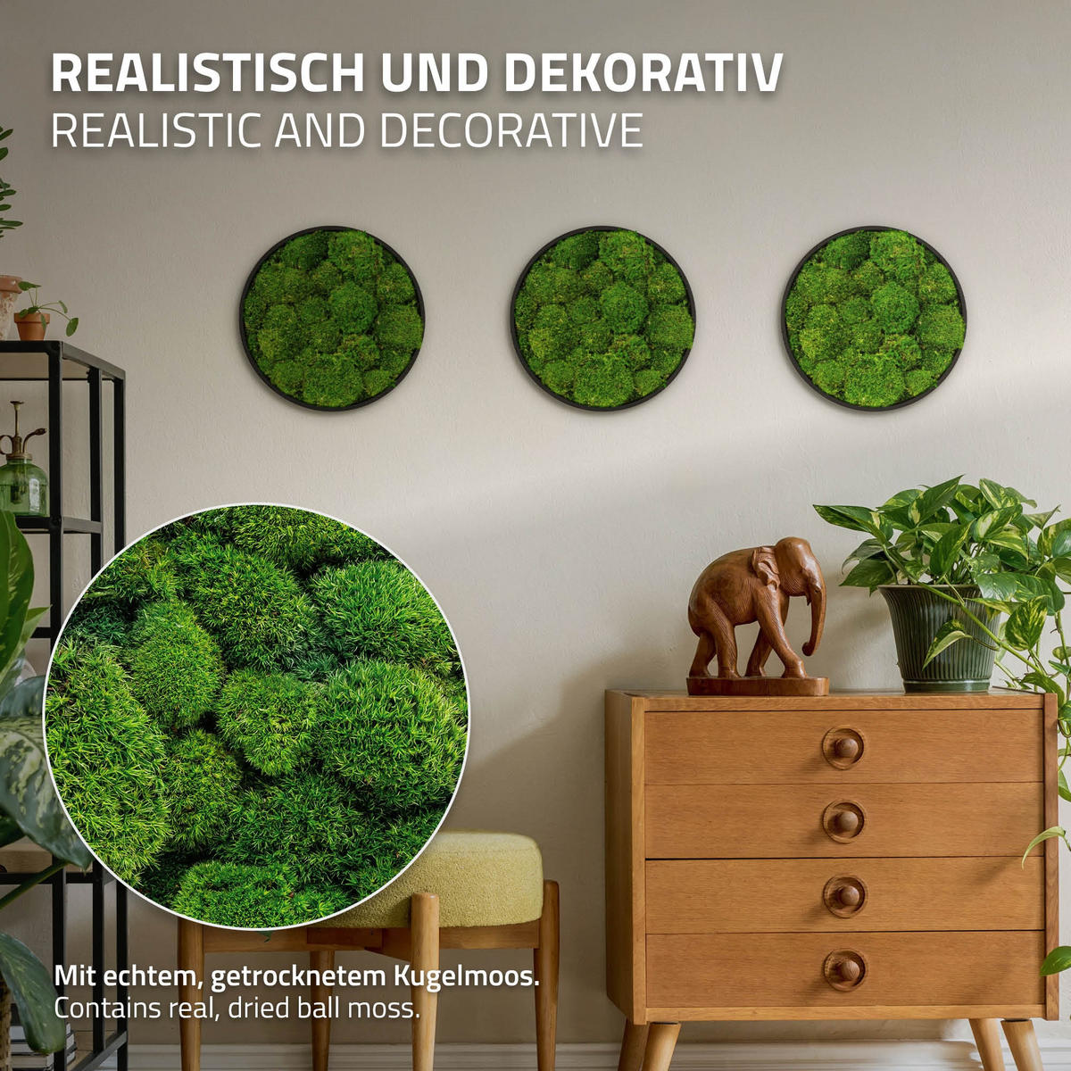 MOOSBILD Rund Ø 30 cm Mooswand Indoor mit Echtem Kugelmoos und Holzrahmen Grün Pflegefrei - Grün, Naturmaterialien (30/30/3cm) - ECD-Germany